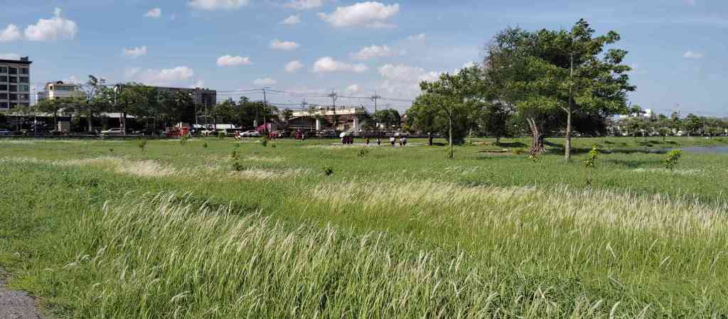 Examples of Treatment Pricing in&nbsp;Thailand